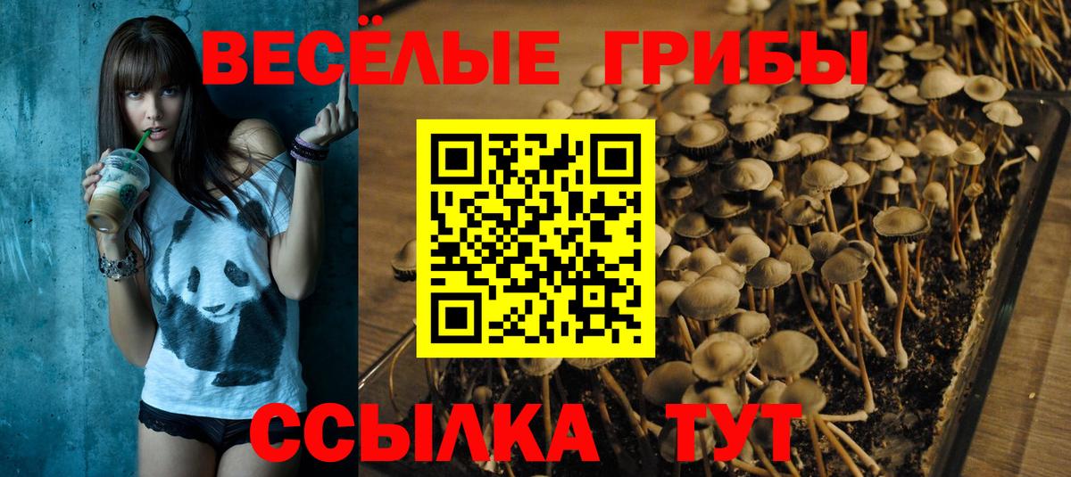Галлюциногенные грибы Magic Shrooms Славянск-на-Кубани